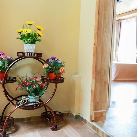 Cát Bà Vintage Homestay Cat Ba Island Extérieur photo