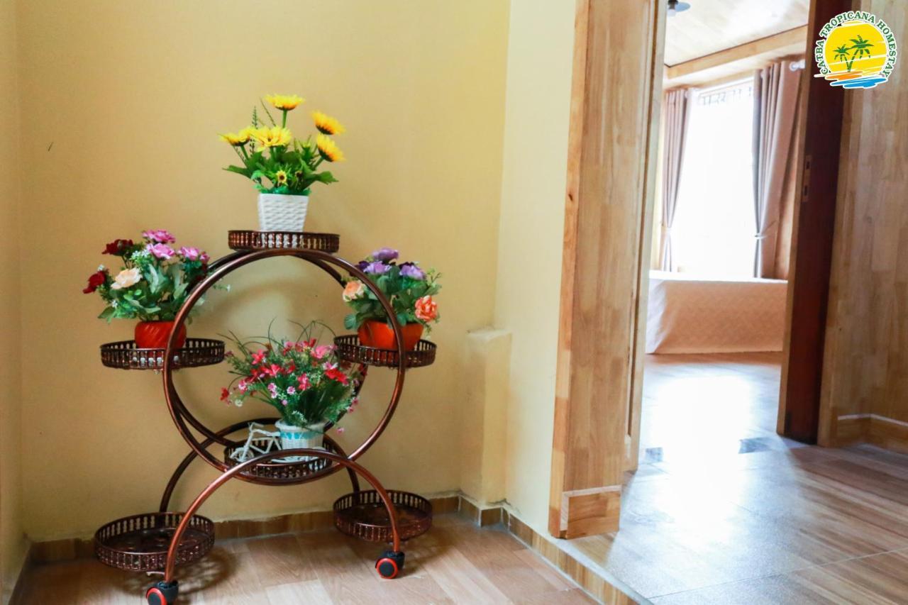 Cát Bà Vintage Homestay Cat Ba Island Extérieur photo