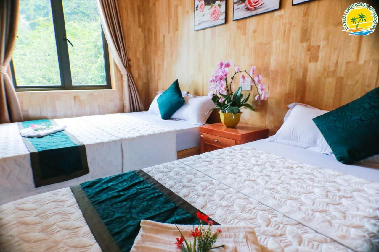 Cát Bà Vintage Homestay Cat Ba Island Extérieur photo