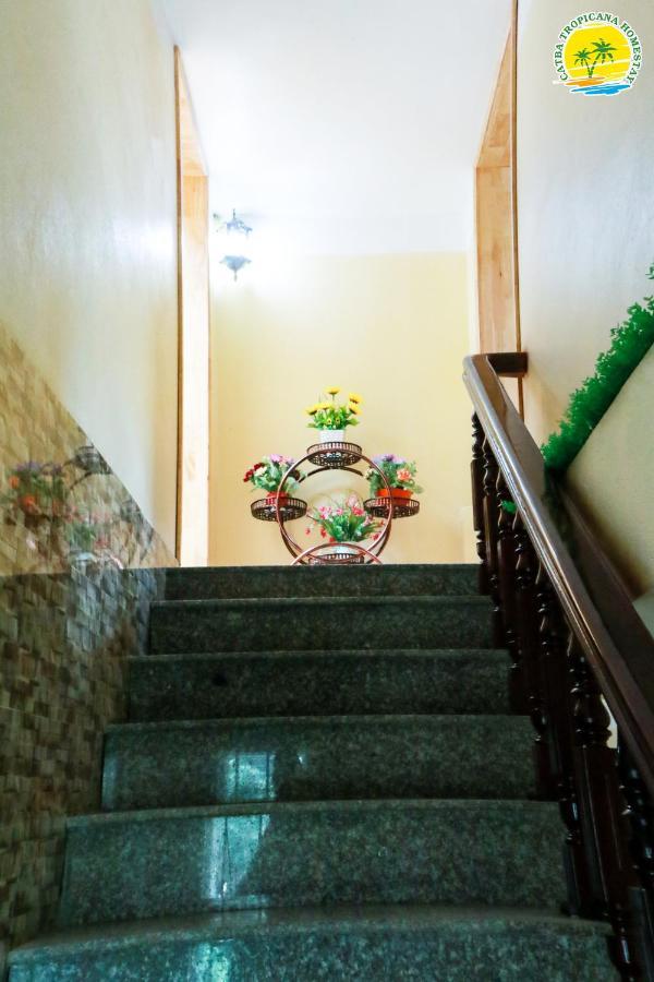 Cát Bà Vintage Homestay Cat Ba Island Extérieur photo